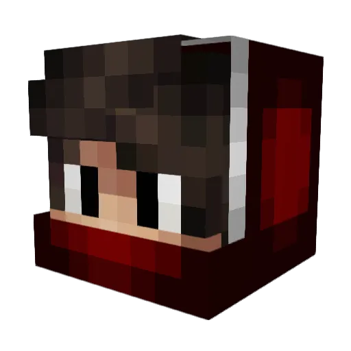 SakiNo11 Minecraft avatar head, 3D render