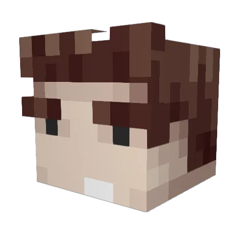 Sakibanu Minecraft avatar head, 3D render