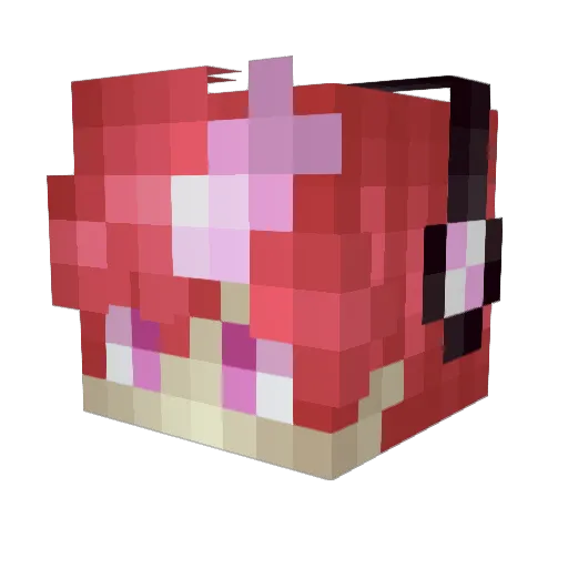 SakkunSine Minecraft avatar head, 3D render