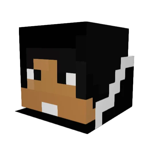 Sakonos Minecraft avatar head, 3D render