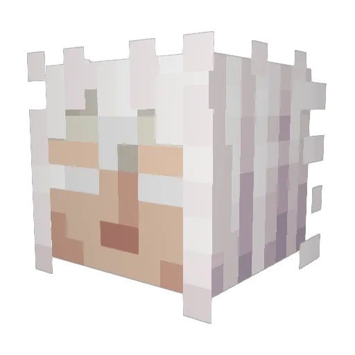 Sakor Minecraft avatar head, 3D render
