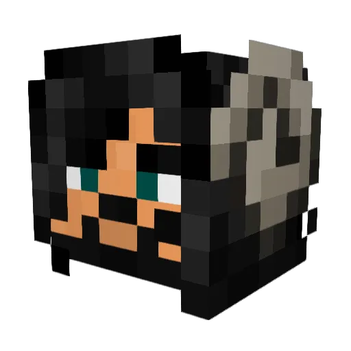 Sakulguy Minecraft avatar head, 3D render