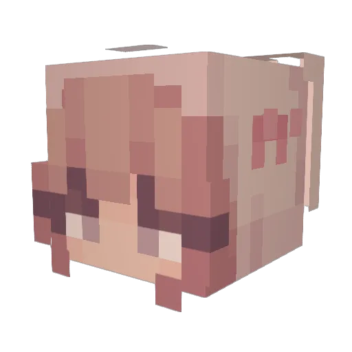 SakuraBarraGe Minecraft avatar head, 3D render