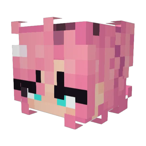 SakuraSnail Minecraft avatar head, 3D render