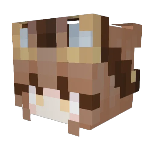 Sakuraz3 Minecraft avatar head, 3D render