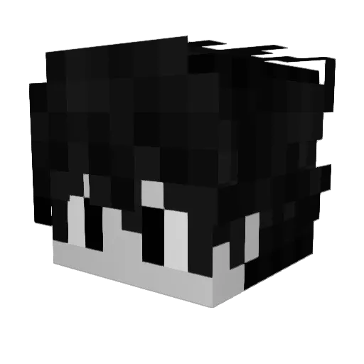 Sakusa9 Minecraft avatar head, 3D render
