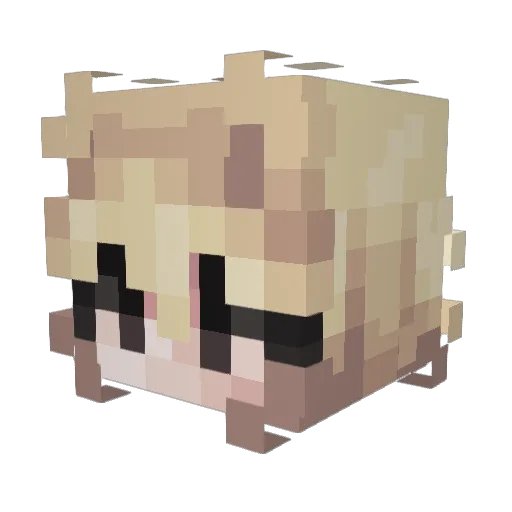 Sakyiel Minecraft avatar head, 3D render
