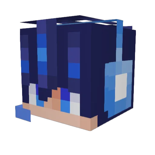 Sal42cool Minecraft avatar head, 3D render