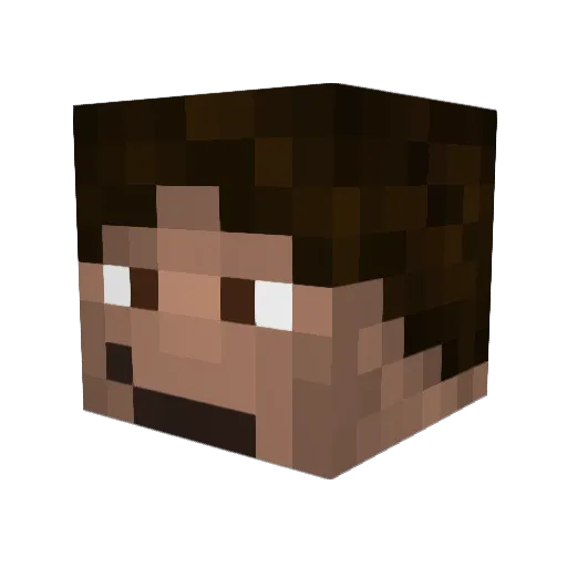 SalC1 Minecraft avatar head, 3D render