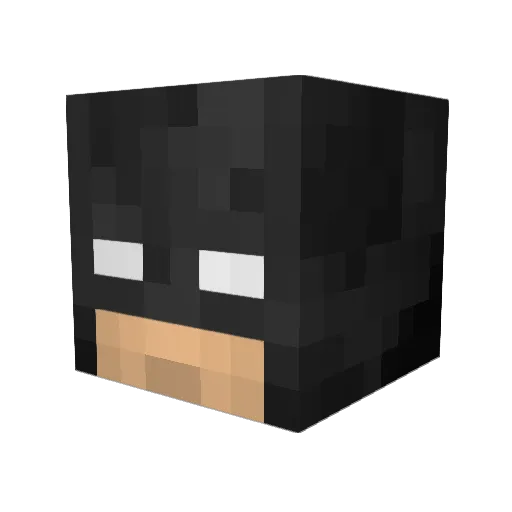 SalC1Enjoyer Minecraft avatar head, 3D render