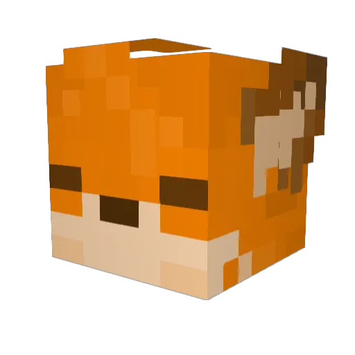SalRN7 Minecraft avatar head, 3D render