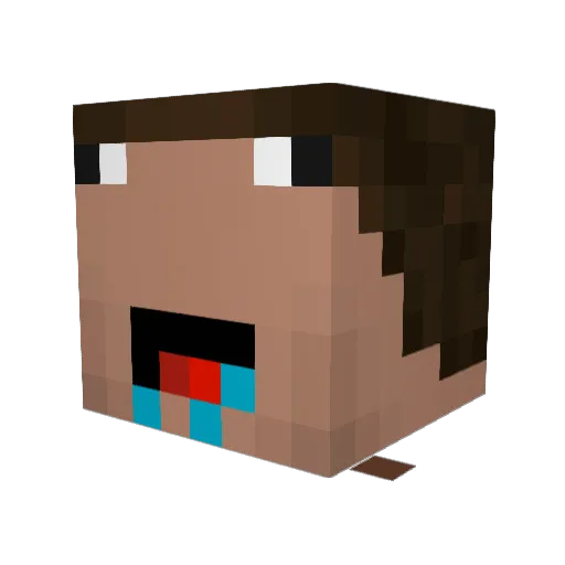 SalaTuna_RioMare Minecraft avatar head, 3D render