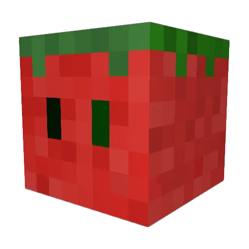 SaladProof Minecraft avatar head, 3D render