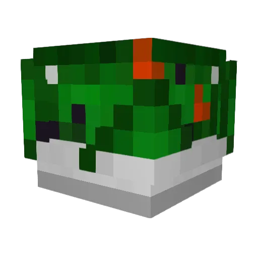Salad____0 Minecraft avatar head, 3D render