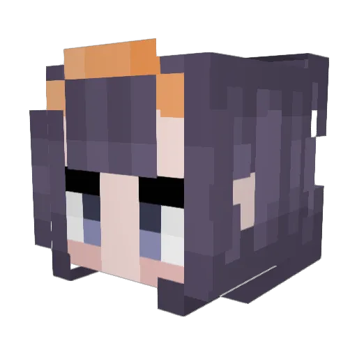 SaladinSane Minecraft avatar head, 3D render