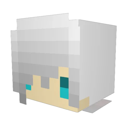 Saladnoodle Minecraft avatar head, 3D render