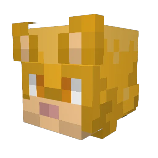 Salakirby Minecraft avatar head, 3D render