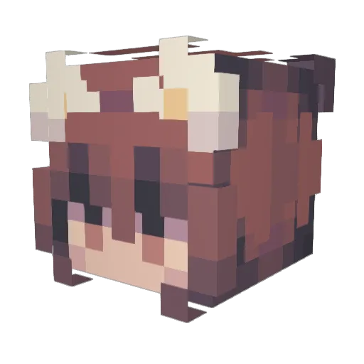 SalamaPlayzz Minecraft avatar head, 3D render