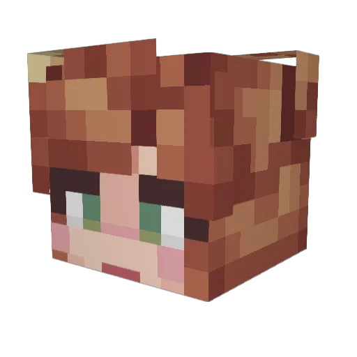 Salamaite Minecraft avatar head, 3D render