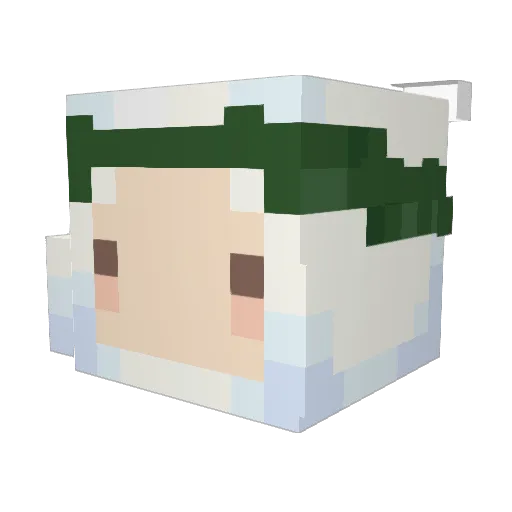Salamander073 Minecraft avatar head, 3D render