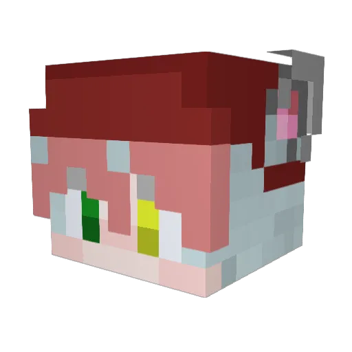 Salamander25955 Minecraft avatar head, 3D render