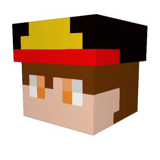 Salamander6014 Minecraft avatar head, 3D render