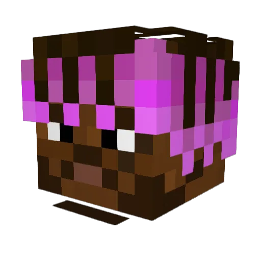 SalamanderAF23 Minecraft avatar head, 3D render