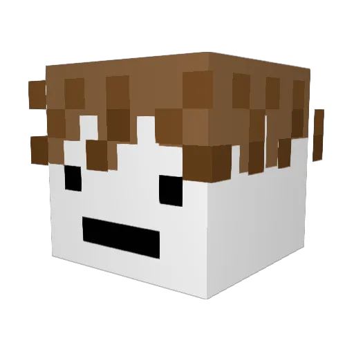 SalamanderDave Minecraft avatar head, 3D render