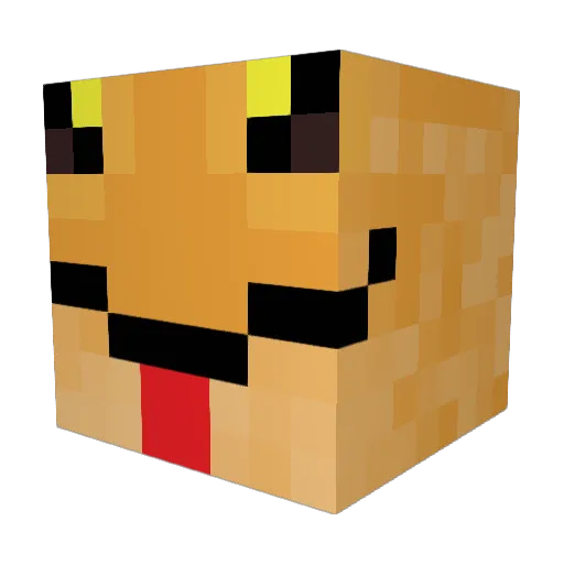 SalamanderKing17 Minecraft avatar head, 3D render