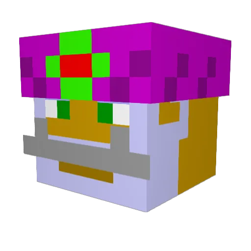 SalamanderTrash Minecraft avatar head, 3D render