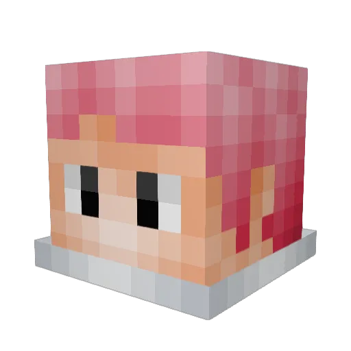 SalamanderXD Minecraft avatar head, 3D render