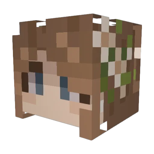 Salamander_22 Minecraft avatar head, 3D render