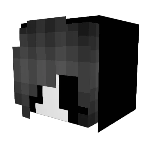 Salamari1006 Minecraft avatar head, 3D render