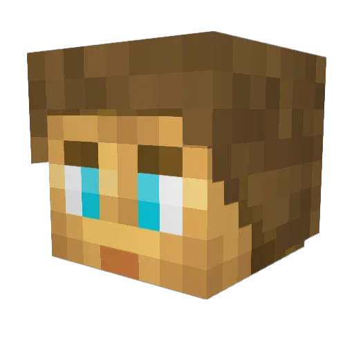 Salami246 Minecraft avatar head, 3D render