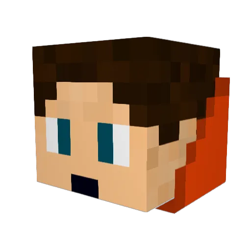Salami248 Minecraft avatar head, 3D render