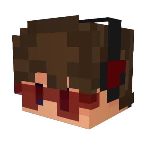 Salamineder Minecraft avatar head, 3D render