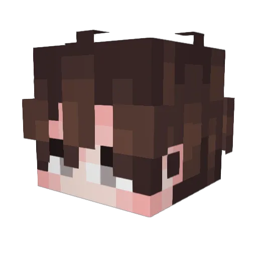 SalamonV Minecraft avatar head, 3D render