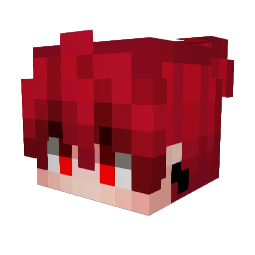 Salaries Minecraft avatar head, 3D render