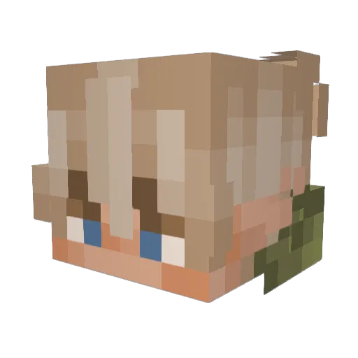 Salasify Minecraft avatar head, 3D render
