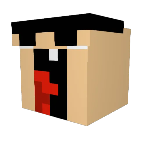 SalatMitMais Minecraft avatar head, 3D render
