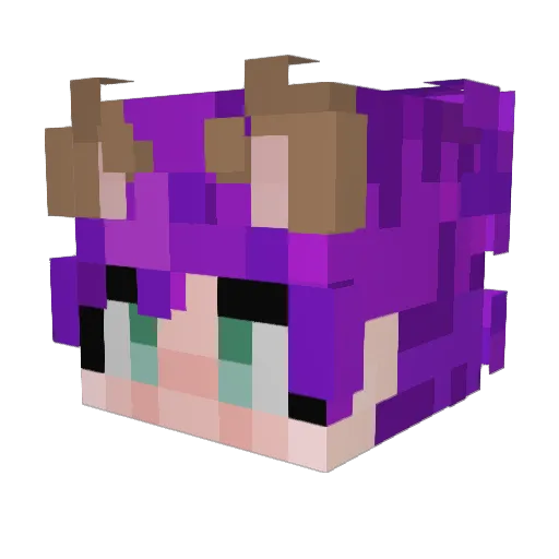 Salatgurke2007 Minecraft avatar head, 3D render