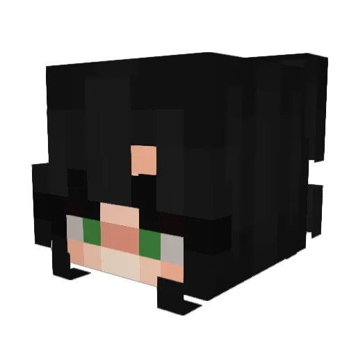 Salatkatze Minecraft avatar head, 3D render