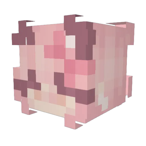 Salavtore Minecraft avatar head, 3D render