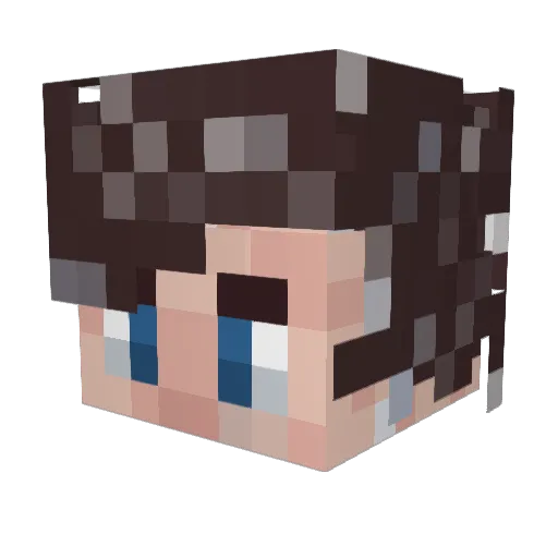 Salax1n Minecraft avatar head, 3D render