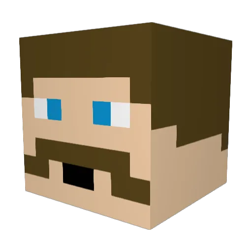 Saldofugl Minecraft avatar head, 3D render