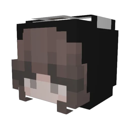 Saleanaa Minecraft avatar head, 3D render