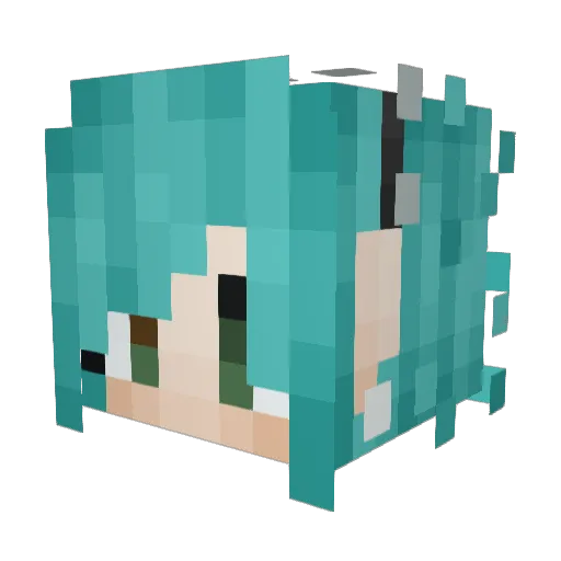 Salem2005 Minecraft avatar head, 3D render