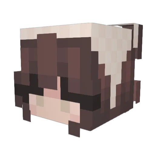 SalemL155 Minecraft avatar head, 3D render