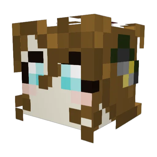 SalemSins Minecraft avatar head, 3D render