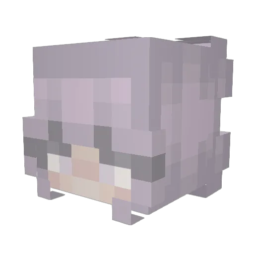 SalemTM Minecraft avatar head, 3D render